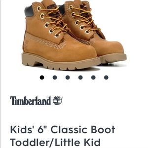 Timberland Classic 6inch Wheat Youth Boots